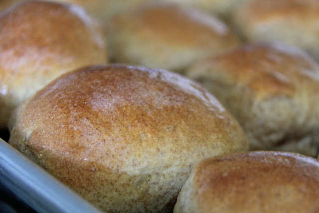 NOT YOUR GRANNY’S WHOLE WHEAT ROLLS1 - NOT YOUR GRANNY’S WHOLE WHEAT ROLLS